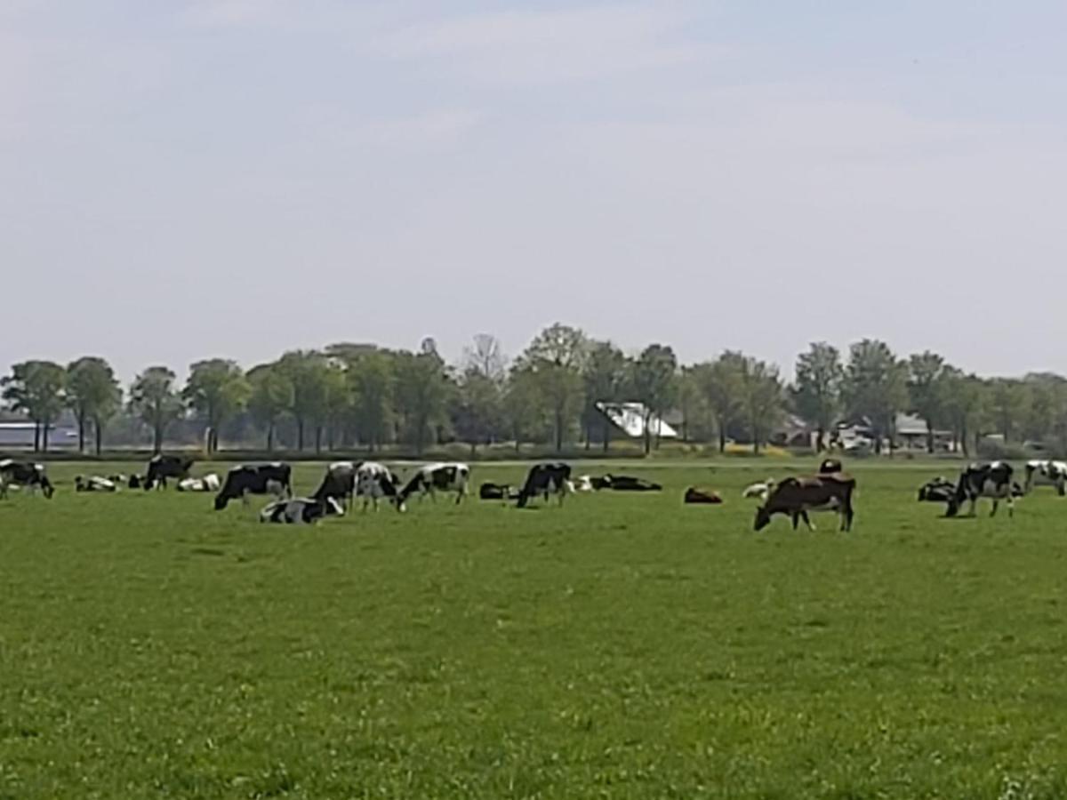 Luxe Gastenverblijf In Het Hart Van Friesland 액쿤 외부 사진